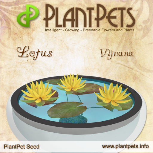 PlantPet Seed [Lotus *Vijnana*]