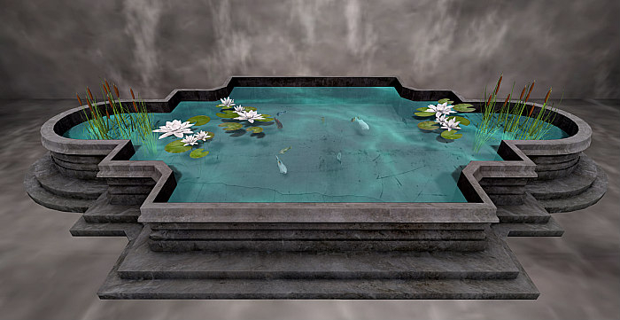Koi pond