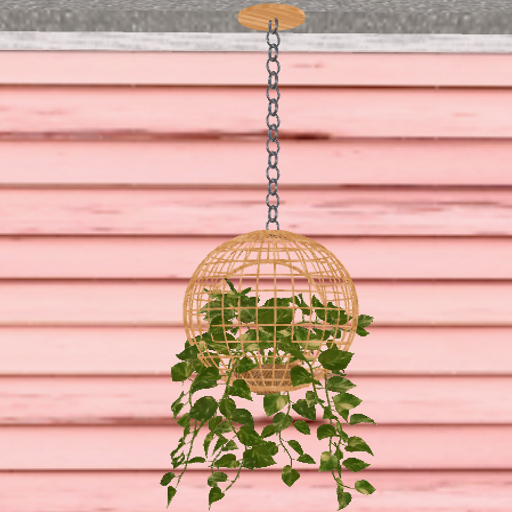 hanging plant