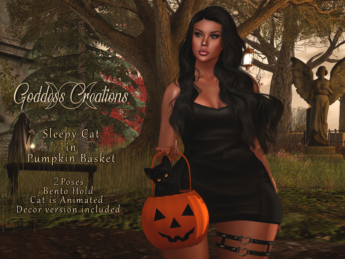 )O( GC: Sleepy Cat In Pumpkin Basket 