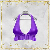 LaraX Purple Ally Top