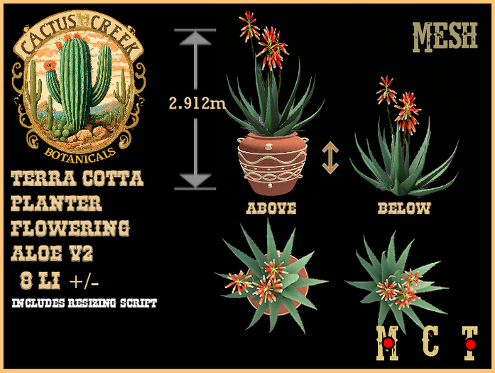 Clay Terra Cotta Planter Flowering Aloe v2