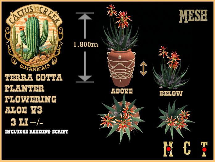 Clay Terra Cotta Planter Flowering Aloe v3