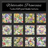 *Wallflowers* Watercolor Primroses