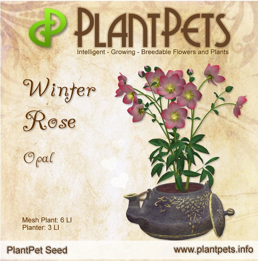 PlantPet Seed [Winter Rose *Opal*]