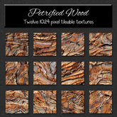 *Wallflowers* Petrified Wood