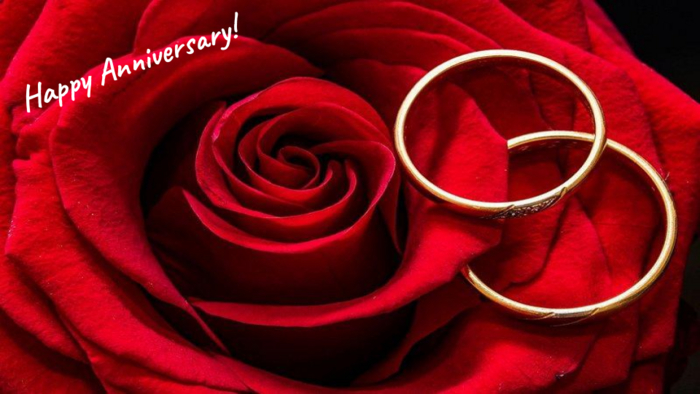 Rose & Rings Anniversary
