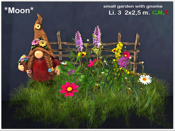 *Moon* Small garden with gnome