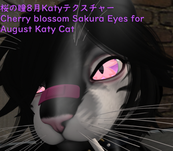 Cherry blossom Sakura Eyes for August Katy Cat