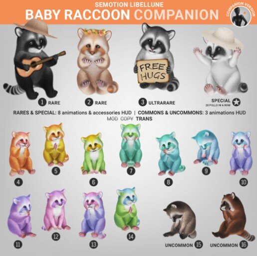 SEmotion Libellune Baby Raccoon Companion COMMON 13