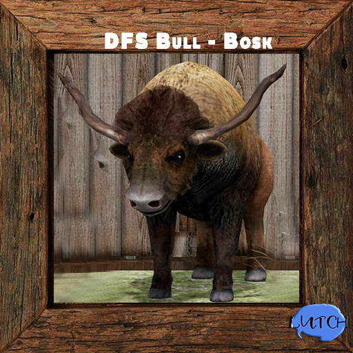DFS Bull - Bosk