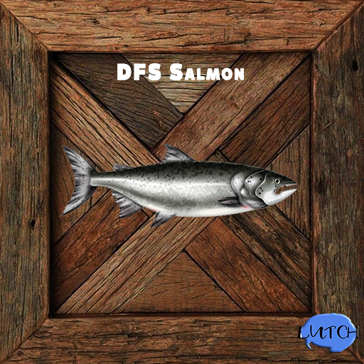 [50] DFS Salmon