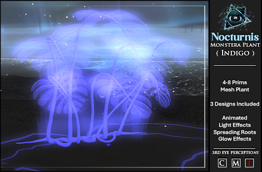 Nocturnis Monstera Plant Indigo Set