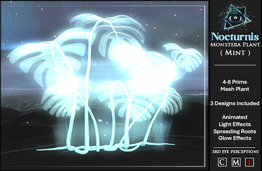 Nocturnis Monstera Plant Mint Set