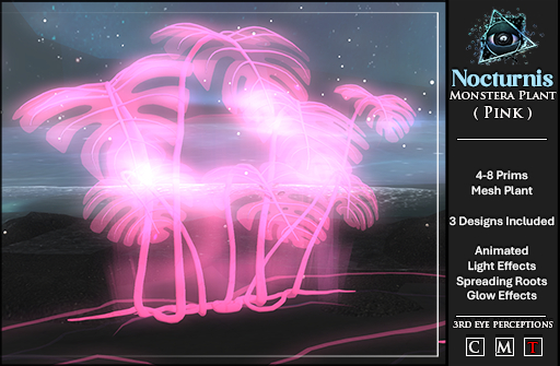 Nocturnis Monstera Plant Pink Set
