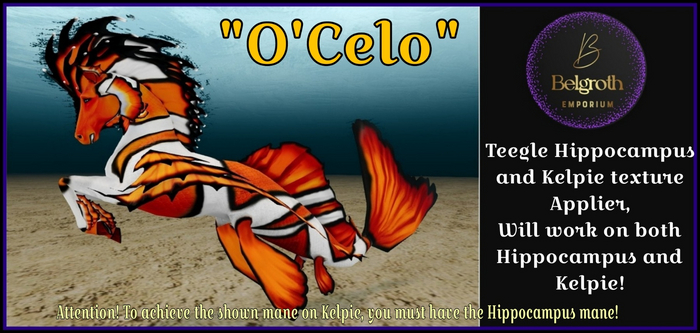 O'Celo Teegle Hippocampus & Kelpie Coat Applier Box