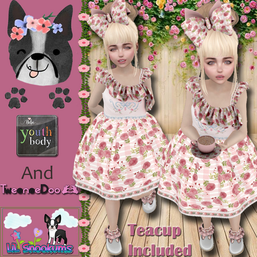 {LiL*SnOokums} Teaparty girl     Tweeneedoo/ Youth