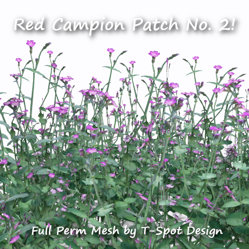 T-Spot Mesh - Red Campion Patch No. 2 - FP - LI=0.7