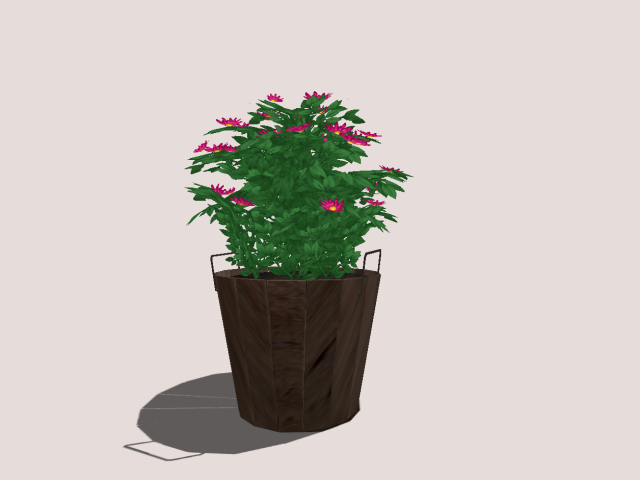 Garden Plant :))))))))))))