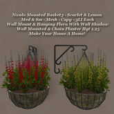 Nicola Mounted Basket3
