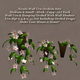Nicola Wall Urn Orchids2