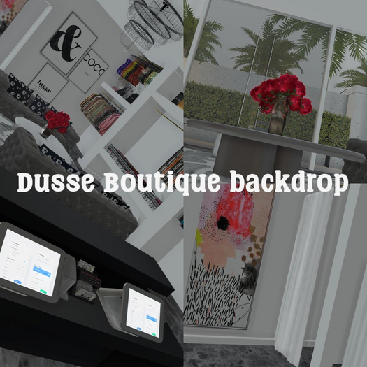 Dusse Boutique Backdrop
