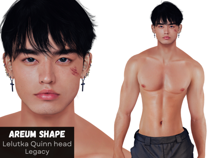 ⏩ [Stanley] Areum Shape Quinn
