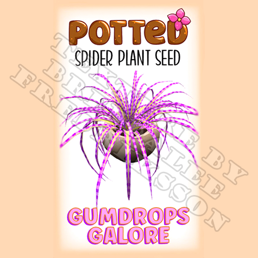 Potted: Spider Plant Seed: Gumdrops Galore (ACTUAL PLANT SEED) - Retired!