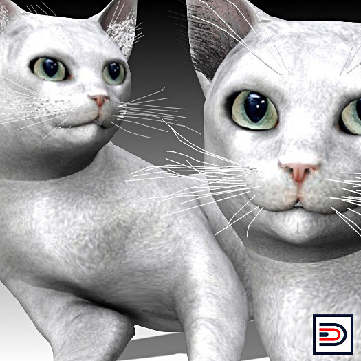 [Danielito] European White Cat