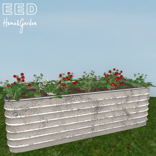 EED's CORRUGATED PLANTER STRAWBERRIES resizer c