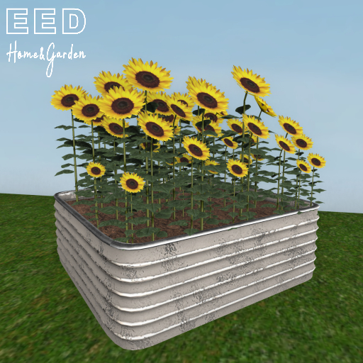 EED's CORRUGATED PLANTER SUNFLOWER resizer c