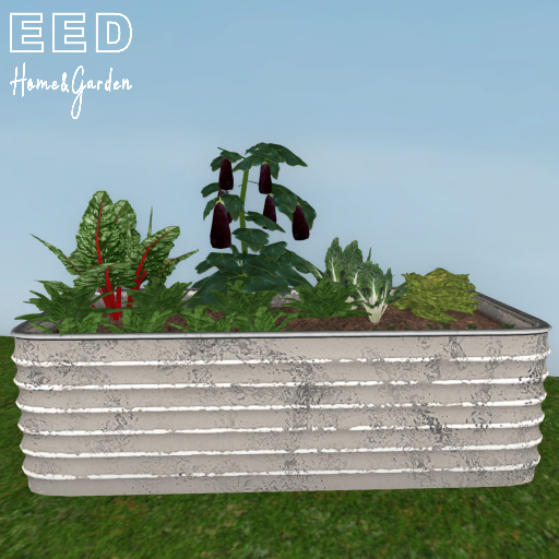 EED's CORRUGATED PLANTER VEGGIES 1 resizer c