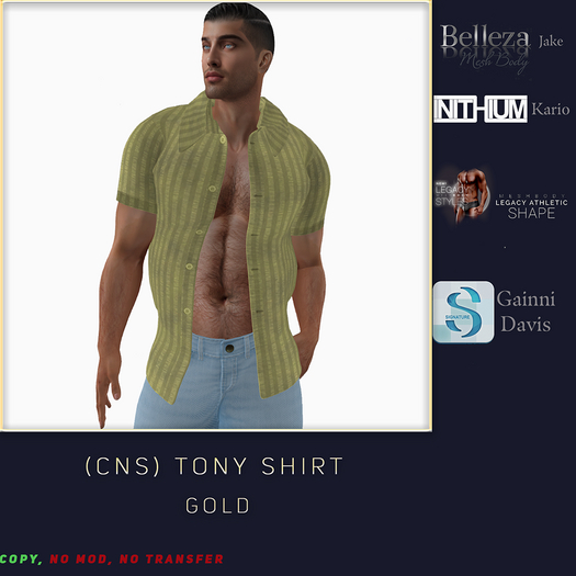 (CNS) Tony Shirt Gold (Add)
