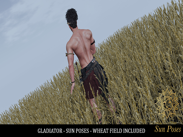 Gladiator - Sun Poses