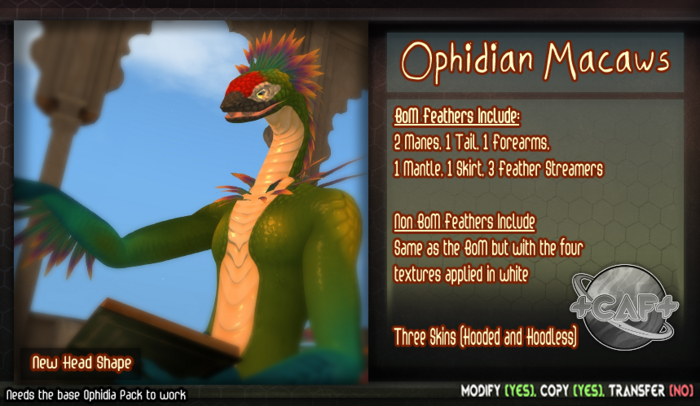+CAF+ Ophidian Macaws