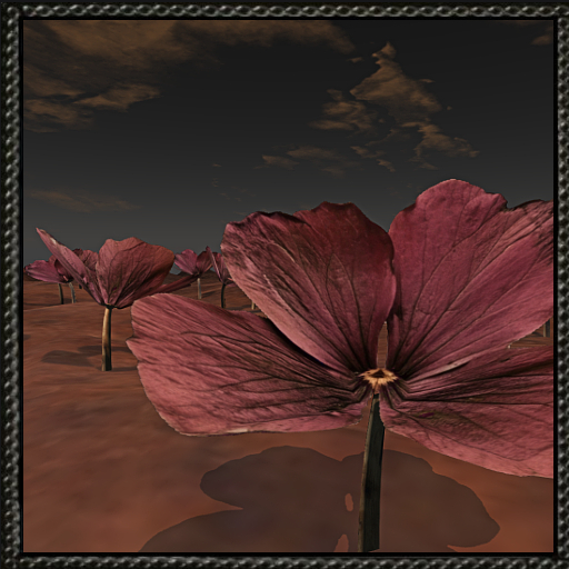 Cica's little flowers C