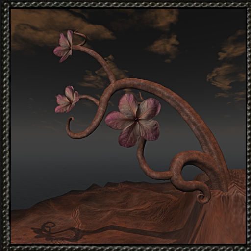 Cica's tree C1