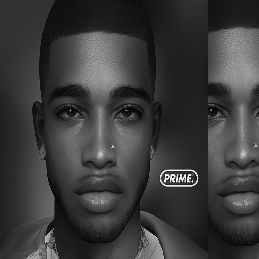 P// Leon Skin (EvoX) DEMOS