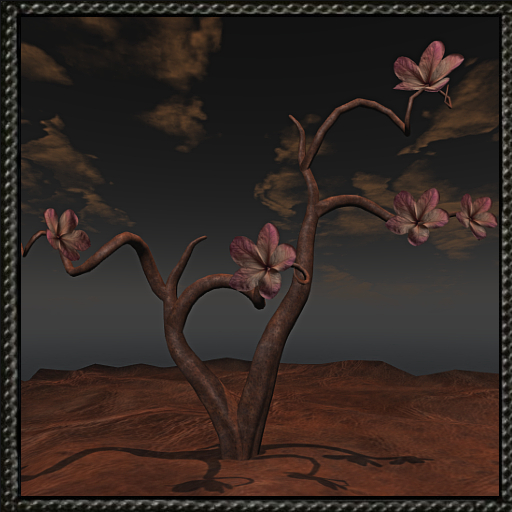 Cica's tree C4