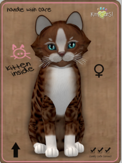 KittyCatS - Genesis - Ginger II Female Megapuss