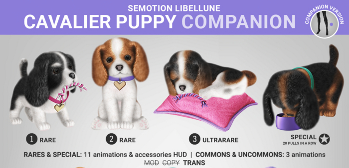 SEmotion Libellune Cavalier Puppy Companion RARE 02