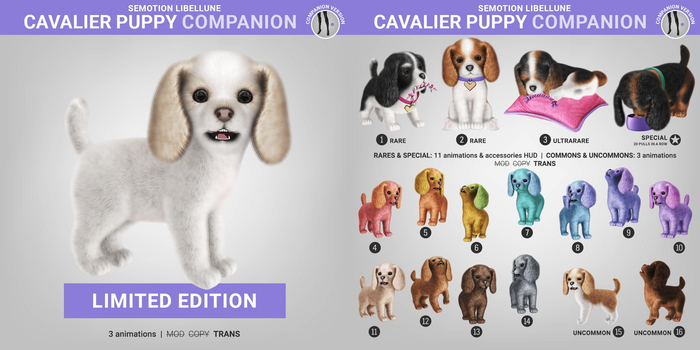 SEmotion Libellune Cavalier Puppy Companion COMMON 08