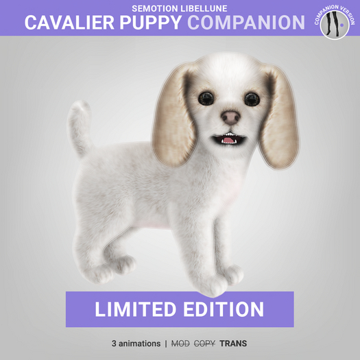 SEmotion Libellune Cavalier Puppy Companion LIMITED