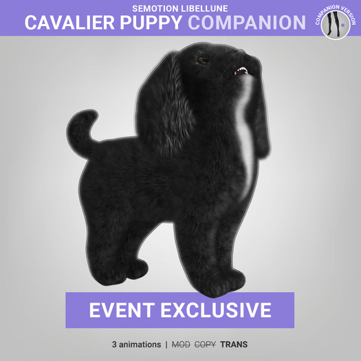 SEmotion Libellune Cavalier Puppy Companion EXCLUSIVE