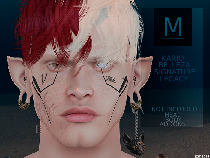 AEGNOR SHAPE FOR FORD