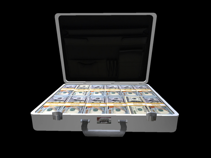Briefcase open with cash