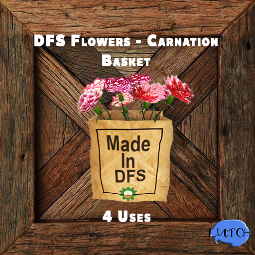 DFS Flowers - Carnation Basket