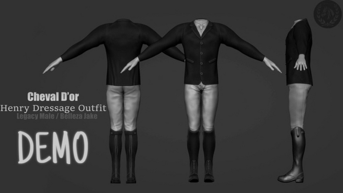 Cheval D'or / Henry Dressage Outfit. [DEMO]