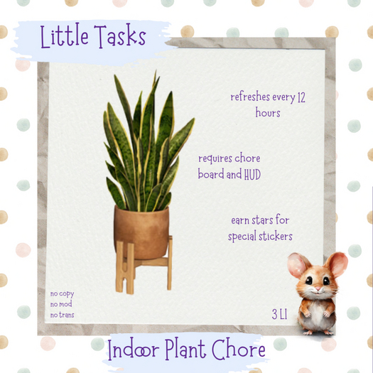 Little Tasks ~ Indoor Plants