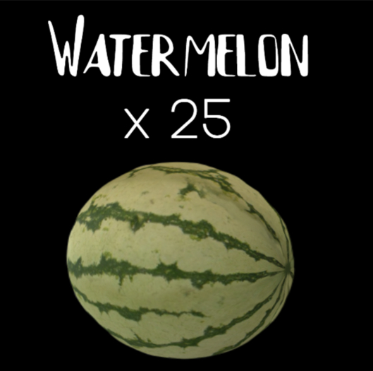 Mystory watermelon x25